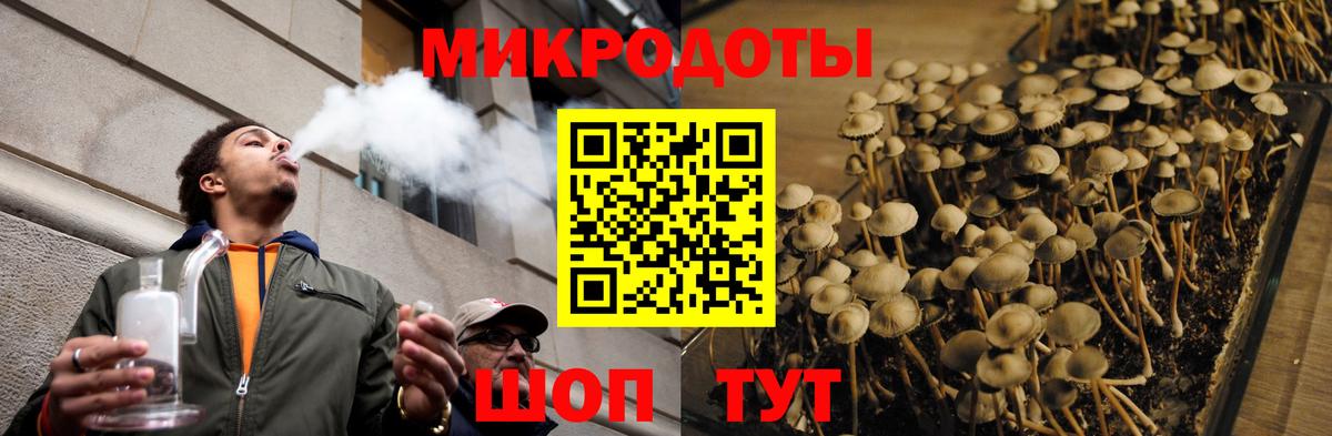 Братск  Галлюциногенные грибы Psilocybe  Вход с VPN  Псилоцибиновые грибы ЛСД 