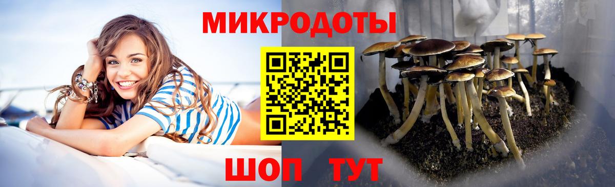 Псилоцибиновые грибы прущие грибы Братск